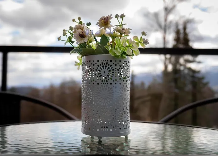 Apartment Park C3-z Dostepem Do Basenu, Sauny, Jacuzzi, Silowni